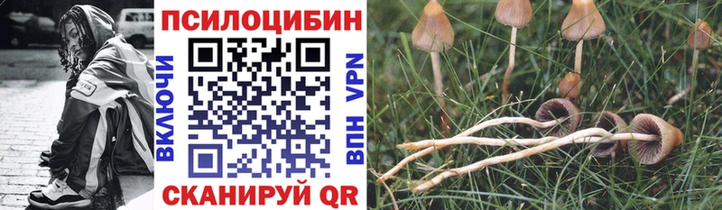 Псилоцибиновые грибы GOLDEN TEACHER Кораблино