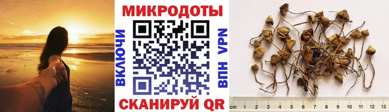 Купить  Кораблино  Псилоцибиновые грибы ЛСД 