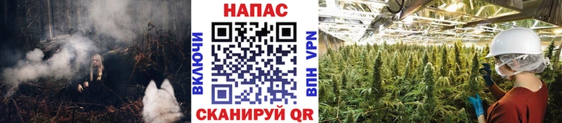 Купить закладки  Кораблино  Шишки марихуана AK-47 